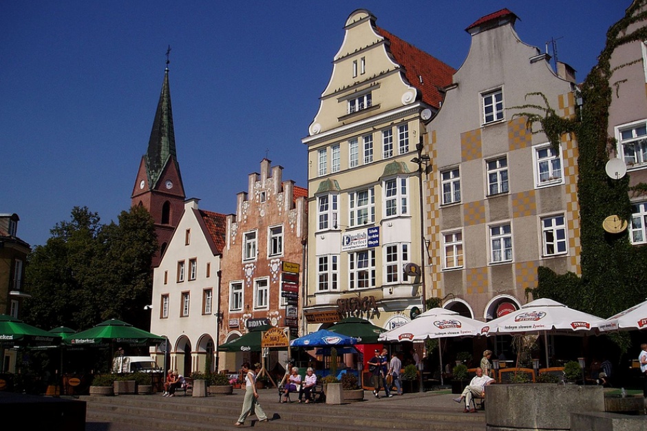 Fot. mat. pras. Olsztyn: w mieście będzie 7,6 tys. mkw. łąk kwietnych