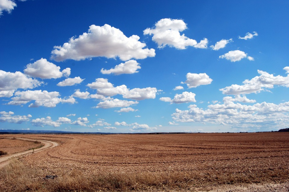 Fot. Pixabay Kliwo planuje kompleks mieszkaniowy w Trzebnicy