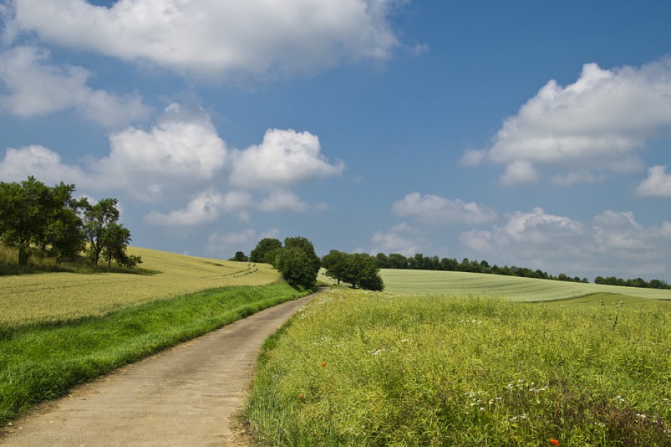 Fot. Pixabay Gorzów sprzedał grunty pod mieszkaniówkę