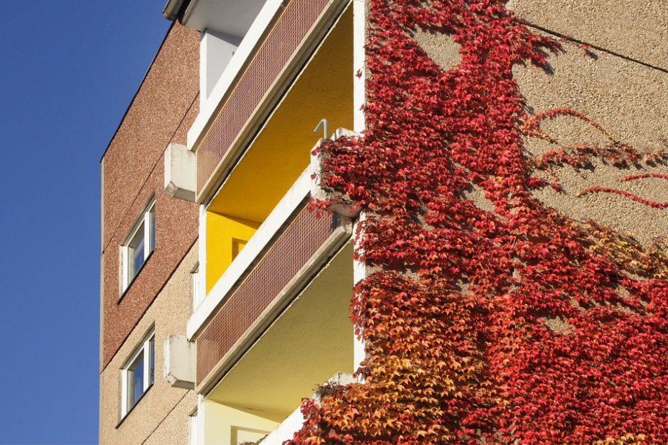Fot. Pixabay Boom na lokale socjalne i komunalne