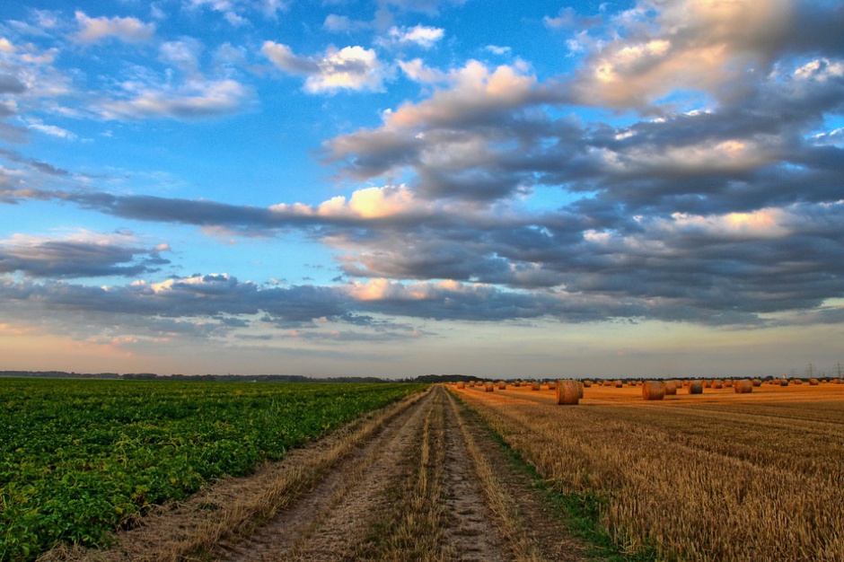 Fot. Pixabay To już fakt. Sprzedaż państwowych gruntów wstrzymana na pięć lat