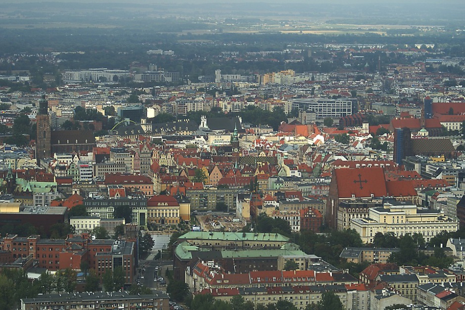 Wrocław wybrał projekty w ramach budżetu obywatelskiego. Fot. Pixabay Wrocław wybrał projekty w ramach budżetu obywatelskiego. Najpopularniejsze inicjatywy związane z zielenią