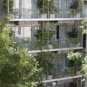 Palo Santo: Pierwszy ekologiczny hotel butikowy w Buenos Aires