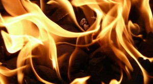 Drewniane domy odporne na pożar