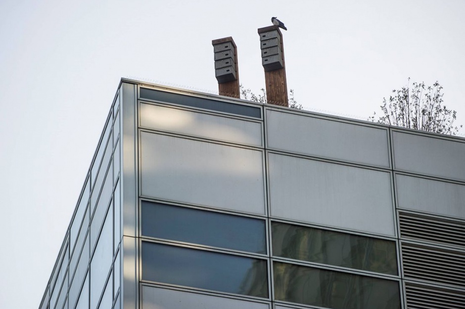 Złota 44. Fot. BBI Development Zieleń na wysokościach i nietypowi sąsiedzi na Złotej 44