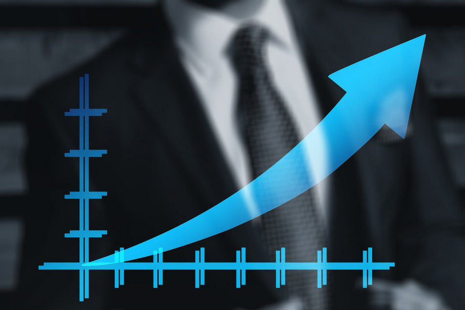 Fot. Pixabay Wolfs Technology Fund pozyskał 15 mln zł z emisji akcji serii E