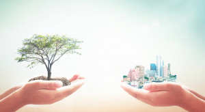 Ekonomista z UW: drzewa miejskie to zielony kapitał
