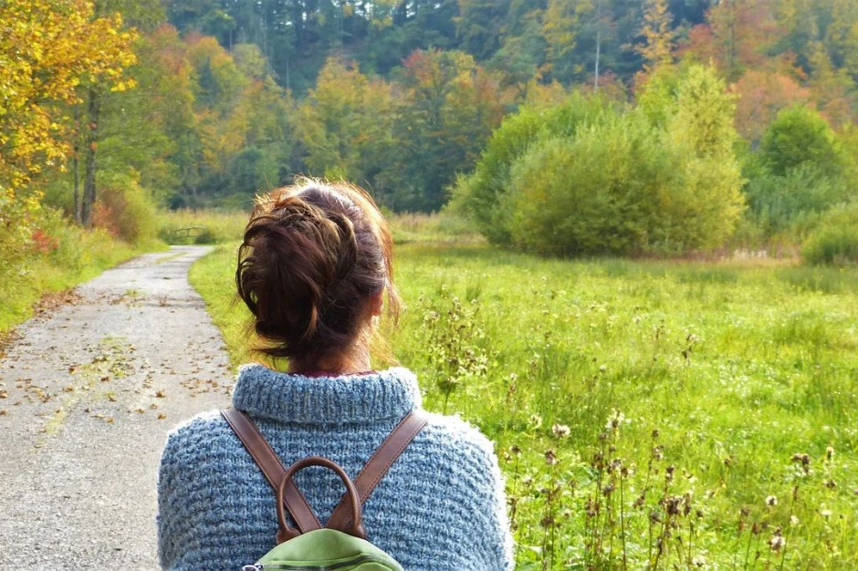 Fot. Pixabay Gorzów Wlkp.: miasto rozstrzygnęło przetarg na rewitalizację parku Kopernika