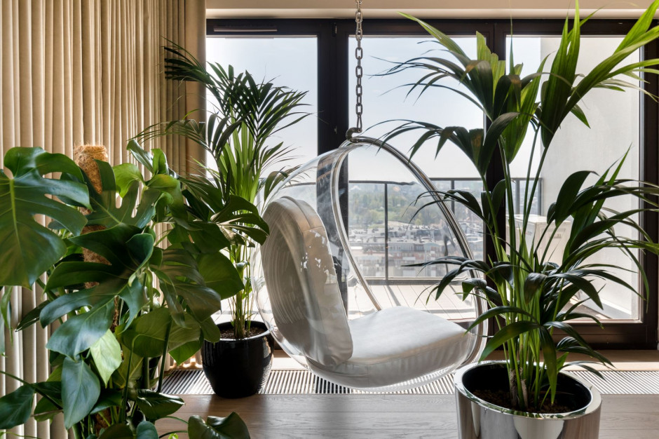 Rośliny wnoszą do pomieszczeń świeżość Fot. Łukasz Bera Jasny i przytulny apartament w centrum Wrocławia