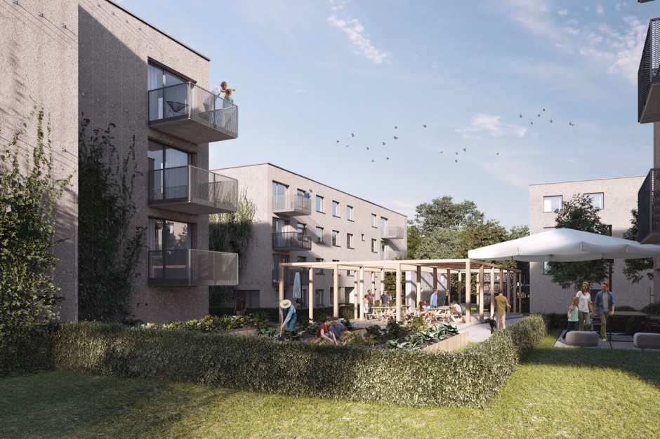 Architekci z pracowni Kuryłowicz & Associates przewidzieli także w swoim projekcie ogródki społeczne do uprawy warzyw i roślin na dziedzińcach poszczególnych kwartałów osiedla, fot. mat. prasowe Katowice z nowym osiedlem z pracowni Kuryłowicz & Associates