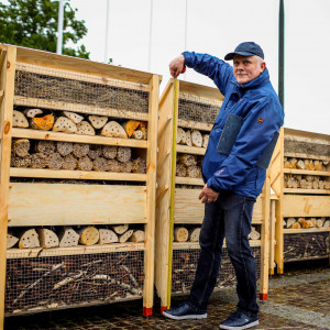 Branża buduje domki dla owadów. Polscy deweloperzy z rekordem Guinnessa
