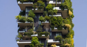 Ogród wertykalny lub zielony dach obniży podatek od nieruchomości